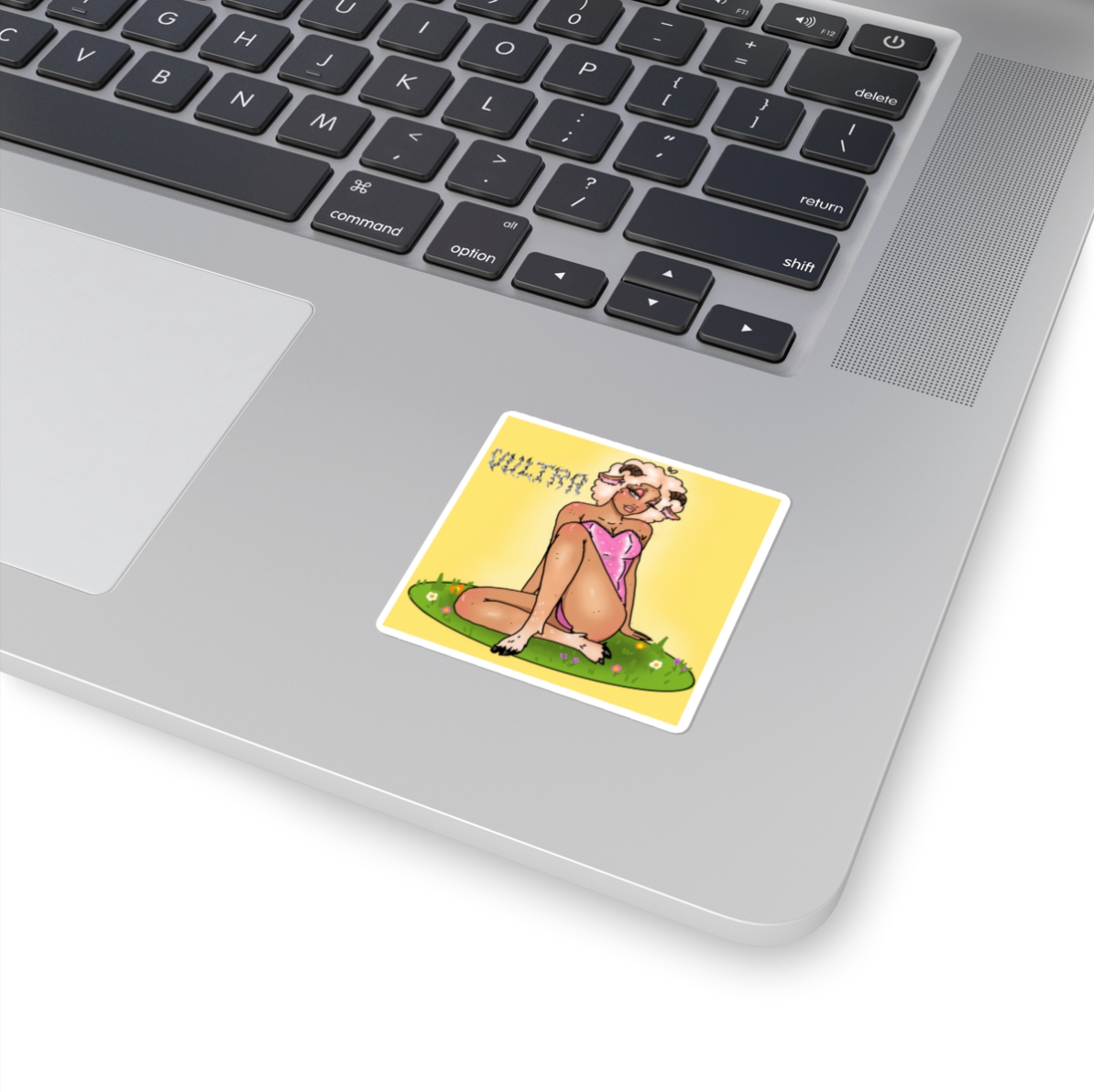 LANA Graphic Sticker On Laptop